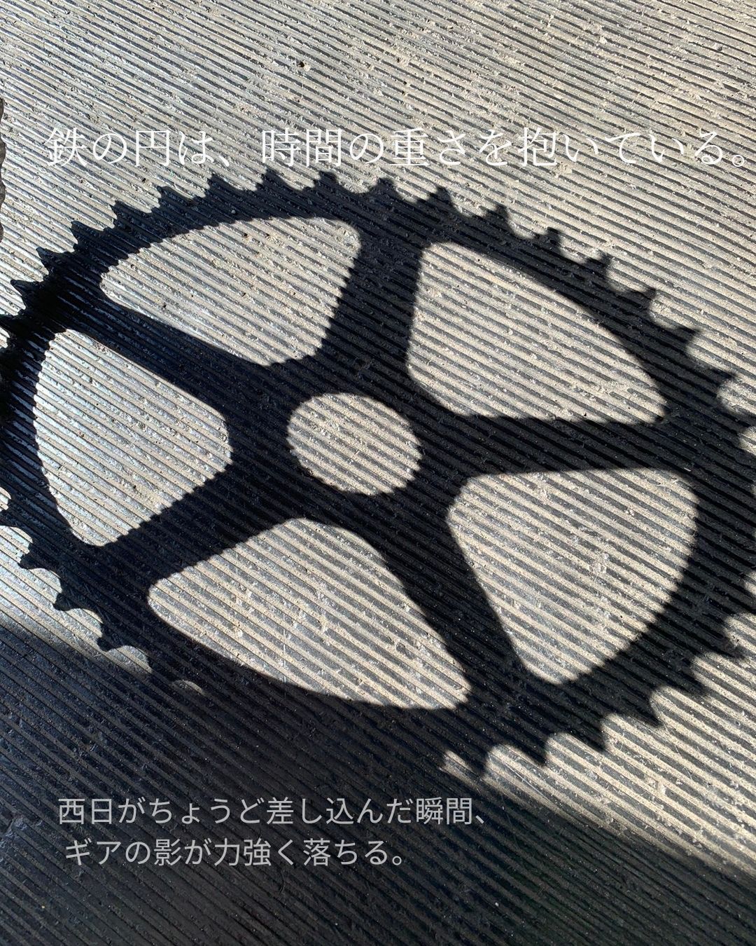 自転車ギアの影が地面に大きく落ち、西日でくっきりと浮かび上がっている写真。