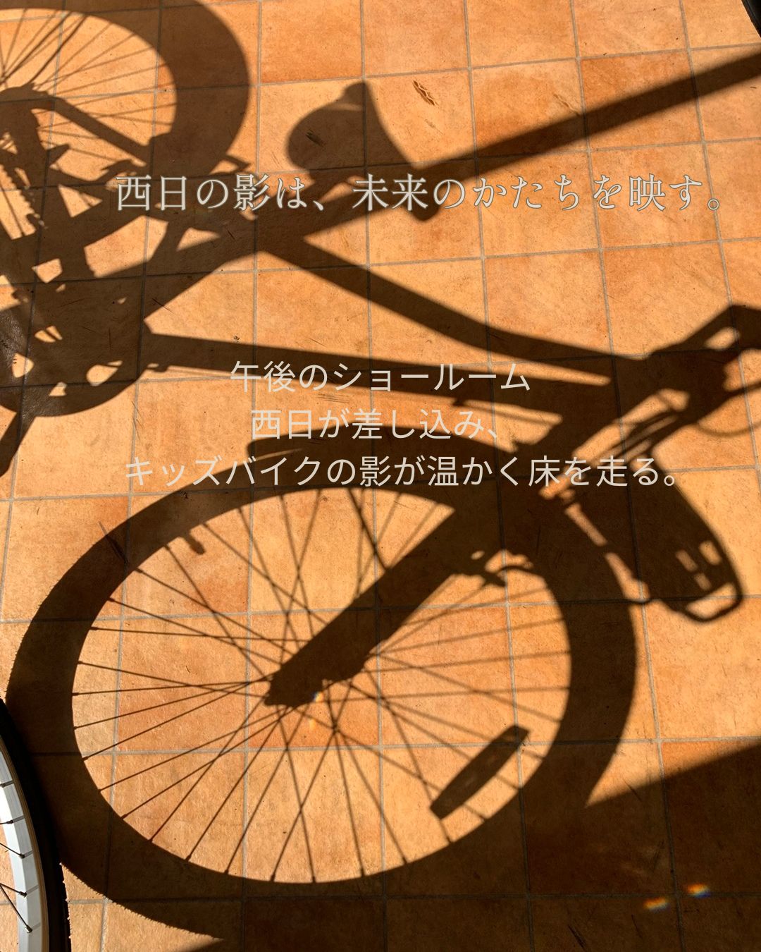 ショールームの床にキッズバイクの影が伸び、暖かな西日が未来の線を描くように照らしている写真。
