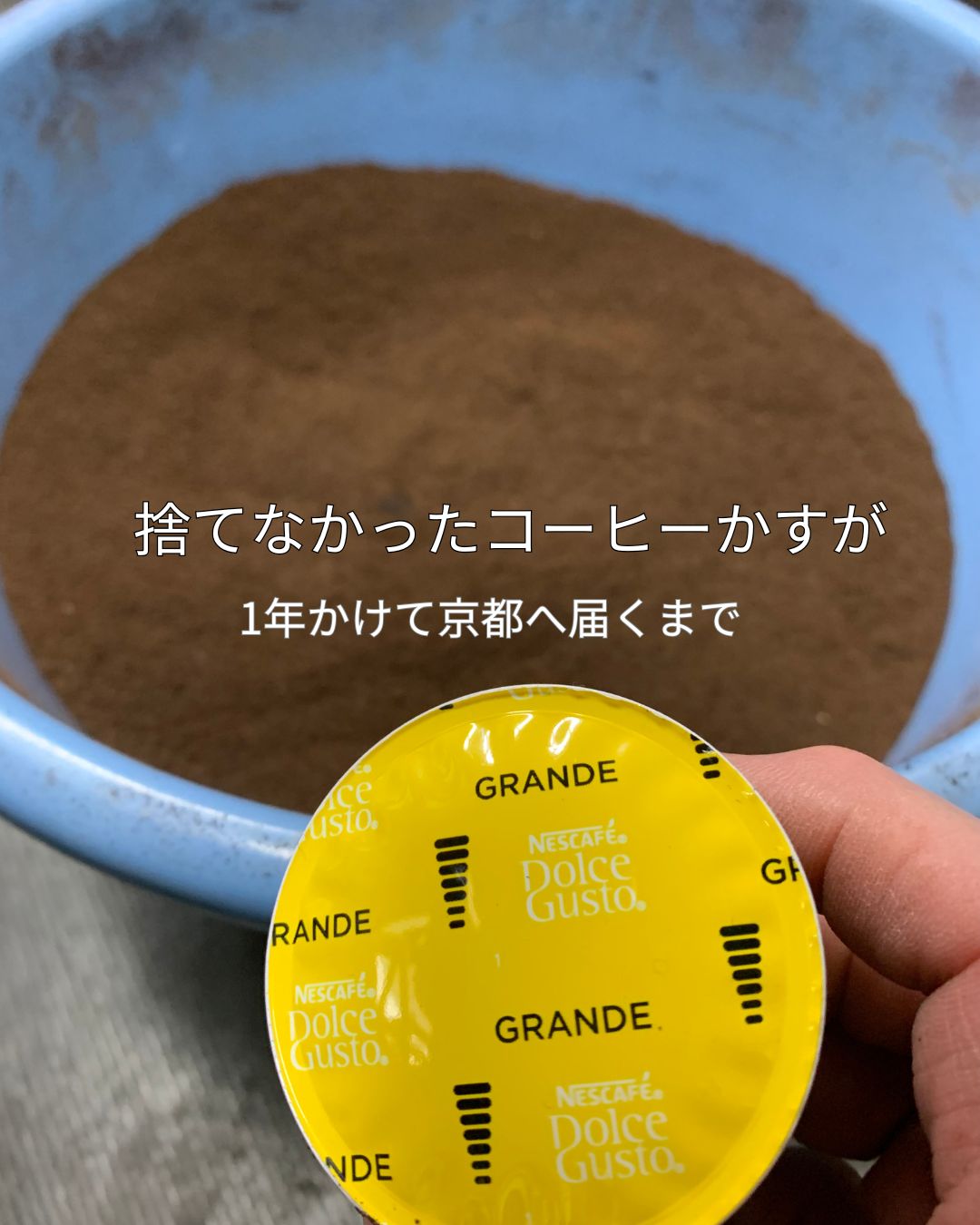 乾燥させて1年分ためたコーヒーかすと使用済みコーヒーカプセル